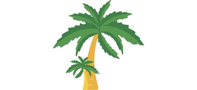 Image for Palm Tree Beach Cricut SVG Design