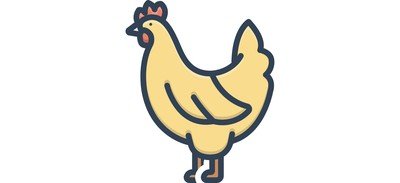 Image for Poultry Hen Chicken Cricut SVG Design