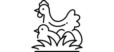 Image for Poultry  Cricut SVG Design