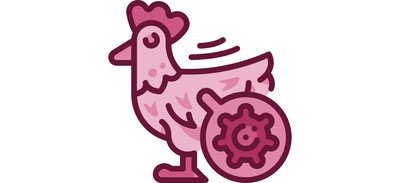 Image for Poultry  Cricut SVG Design