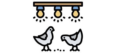 Image for Poultry Chicken Hen Cricut SVG Design