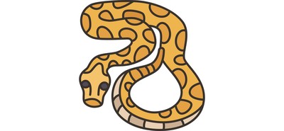 Image for Python  Cricut SVG Design