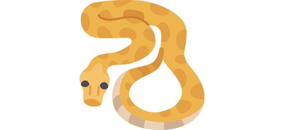 Image for Python  Cricut SVG Design