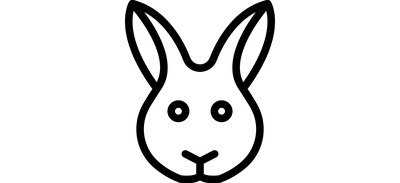 Image for Rabbit Bunny Food Cricut SVG Design