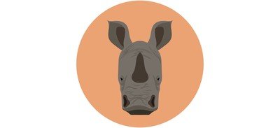 Image for Rhinoceros Rhino Unicorn Cricut SVG Design