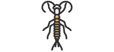 Image for Rock Crawler Insect Cricut SVG Design