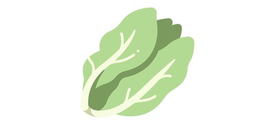 Image for Salad Fresh Vegetable Cricut SVG Design