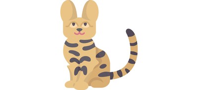 Image for Savannah Cat  Cricut SVG Design