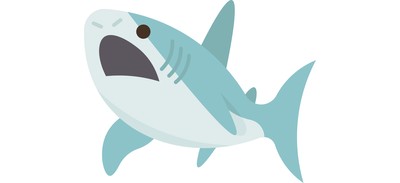 Image for Shark  Cricut SVG Design
