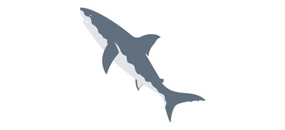 Image for Shark Fish Animal Cricut SVG Design