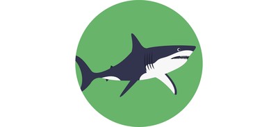 Image for Shark Fish Animal Cricut SVG Design