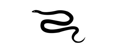 Image for Cobra Anaconda Snake Cricut SVG Design