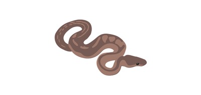 Image for Snake Serpent Viper Cricut SVG Design