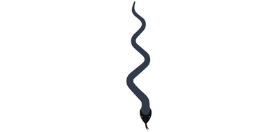 Image for Snake Cobra Wildlife Cricut SVG Design