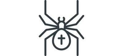 Image for Spider Cross Scarry Cricut SVG Design