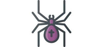 Image for Spider Cross Scarry Cricut SVG Design