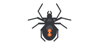 Image for Spider Animal Cricut SVG Design