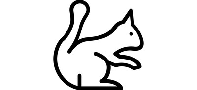 Image for Squirrel Animal Sciurus Cricut SVG Design