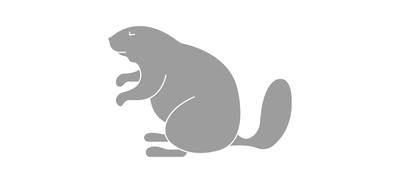 Image for Squirrel Sciuridae Rodents Cricut SVG Design