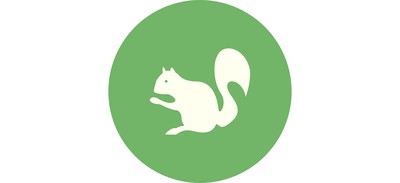 Image for Squirrel Animal Wildlife Cricut SVG Design