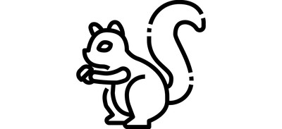 Image for Squirrel Animal Rodent Cricut SVG Design