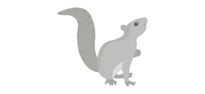 Image for Squirrel Arboreal Rodent Gopher Cricut SVG Design