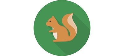 Image for Squirrel Animal Herbivores Cricut SVG Design