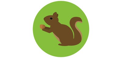 Image for Squirrel Animal Cricut SVG Design