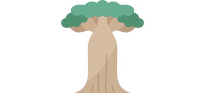 Image for Tree  Cricut SVG Design