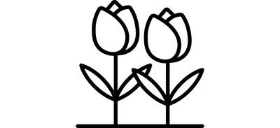 Image for Tulip Flower Beautiful Cricut SVG Design