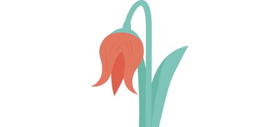 Image for Tulip Bud Flower Cricut SVG Design