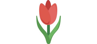 Image for Flower Tulip Blossom Cricut SVG Design