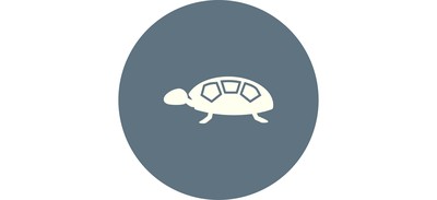 Image for Turtle Cricut SVG Design