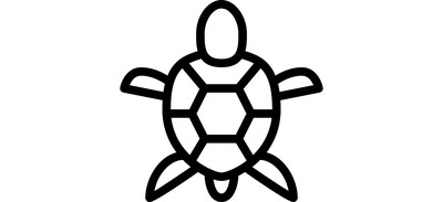 Image for Turtle Animal Cricut SVG Design