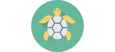 Image for Tortoise Turtle Terrapin Cricut SVG Design