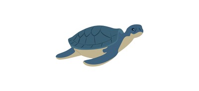 Image for Tortoise Turtle Terrapin Cricut SVG Design