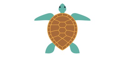 Image for Turtle  Cricut SVG Design