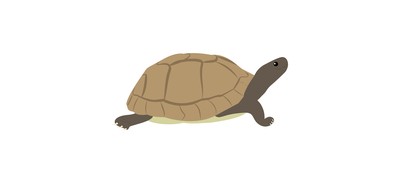 Image for Tortoise Turtle Terrapin Cricut SVG Design