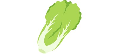 Image for Lettuce Chili Vegan Cricut SVG Design