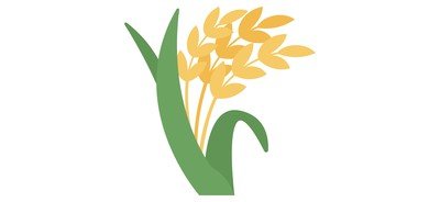 Image for Free Wheat Crop Agriculture Cricut SVG Design