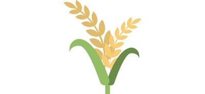 Image for Wheat Barley Whole Cricut SVG Design