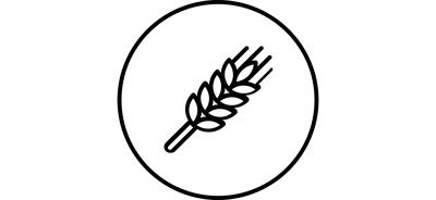 Image for Free Wheat Grain Harvest Cricut SVG Design