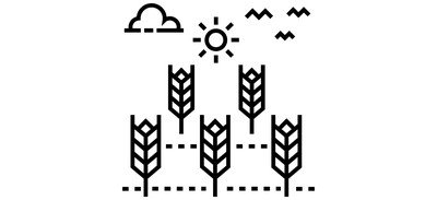 Image for Fields Wheat Fields Grain Fields Cricut SVG Design