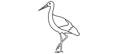 Image for White Ibis Aves Cricut SVG Design