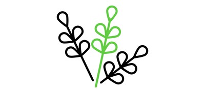 Image for Willow Cricut SVG Design