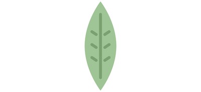 Image for Willow leaf  Cricut SVG Design